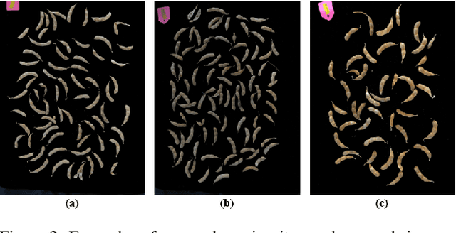 Figure 3 for Transfer Learning from Synthetic In-vitro Soybean Pods Dataset for In-situ Segmentation of On-branch Soybean Pod