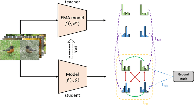 Figure 1 for 2nd Place Solution for ICCV 2021 VIPriors Image Classification Challenge: An Attract-and-Repulse Learning Approach