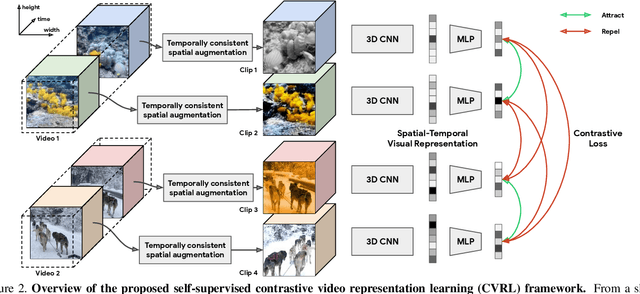 Figure 3 for Spatiotemporal Contrastive Video Representation Learning