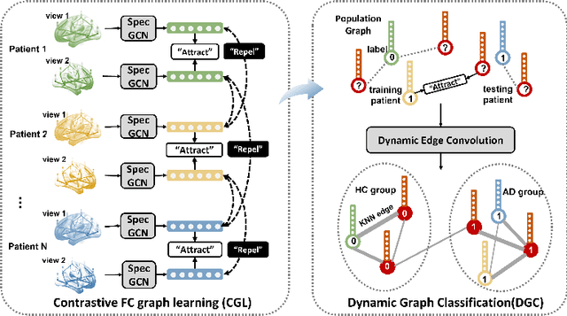 Figure 1 for Contrastive Graph Learning for Population-based fMRI Classification