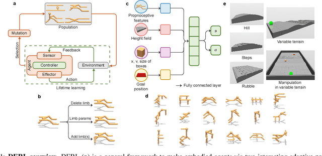 Figure 1 for Embodied Intelligence via Learning and Evolution