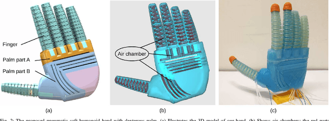 Figure 2 for A Novel Design of Soft Robotic Hand with a Human-inspired Soft Palm for Dexterous Grasping