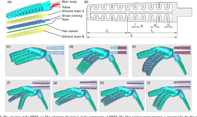 Figure 3 for A Novel Design of Soft Robotic Hand with a Human-inspired Soft Palm for Dexterous Grasping