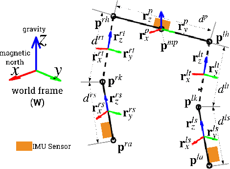 Figure 3 for Estimating Lower Limb Kinematics using a Lie Group Constrained EKF and a Reduced Wearable IMU Count