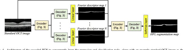 Figure 4 for FourierNet: Shape-Preserving Network for Henle's Fiber Layer Segmentation in Optical Coherence Tomography Images