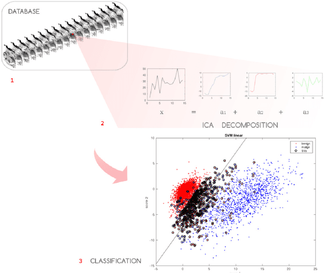 Figure 1 for Automated detection and segmentation of non-mass enhancing breast tumors with dynamic contrast-enhanced magnetic resonance imaging