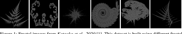 Figure 1 for Beyond Flatland: Pre-training with a Strong 3D Inductive Bias