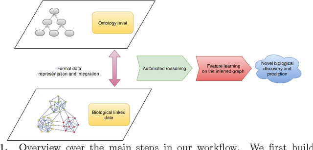 Figure 1 for Neuro-symbolic representation learning on biological knowledge graphs