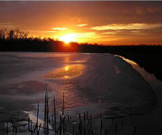 Figure 3 for DeepImageSpam: Deep Learning based Image Spam Detection