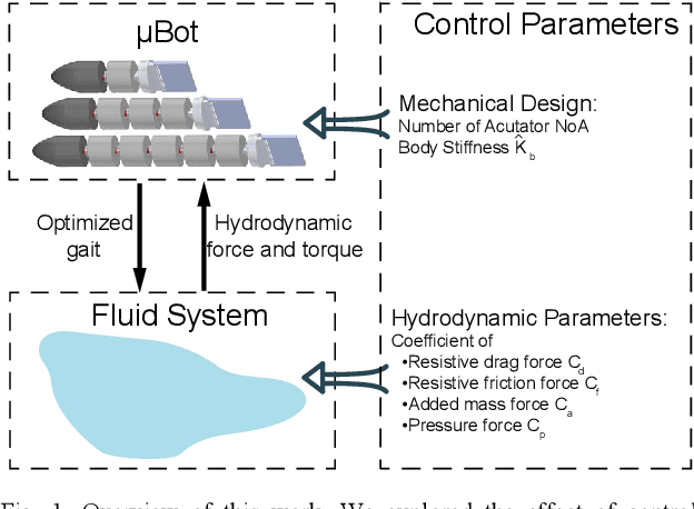 Figure 1 for Effects of Design and Hydrodynamic Parameters on Optimized Swimming for Simulated, Fish-inspired Robots