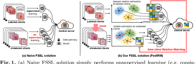 Figure 1 for Federated Semi-supervised Medical Image Classification via Inter-client Relation Matching