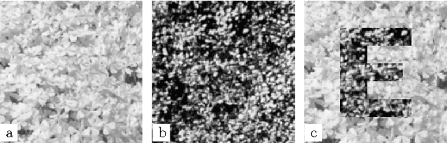 Figure 1 for Graph entropies in texture segmentation of images