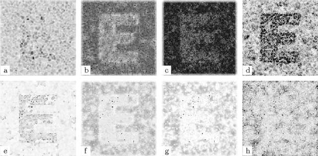 Figure 2 for Graph entropies in texture segmentation of images