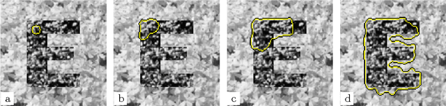 Figure 3 for Graph entropies in texture segmentation of images