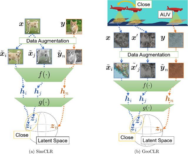 Figure 1 for GeoCLR: Georeference Contrastive Learning for Efficient Seafloor Image Interpretation
