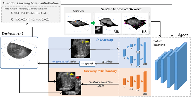 Figure 1 for Agent with Tangent-based Formulation and Anatomical Perception for Standard Plane Localization in 3D Ultrasound