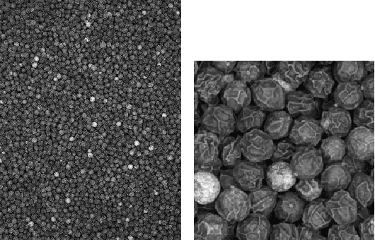 Figure 2 for Tomographic Image Reconstruction using Training images