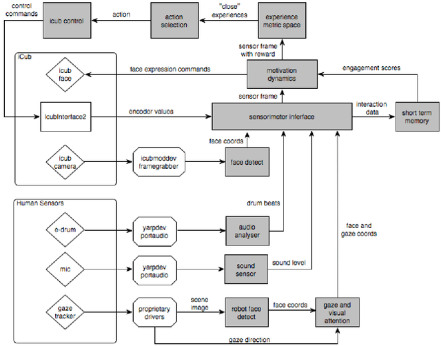 Figure 1 for Interaction Histories and Short Term Memory: Enactive Development of Turn-taking Behaviors in a Childlike Humanoid Robot