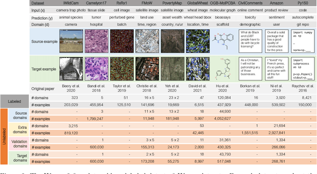 Figure 3 for Extending the WILDS Benchmark for Unsupervised Adaptation