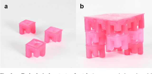 Figure 2 for Scale invariant robot behavior with fractals