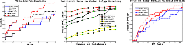 Figure 1 for Coarse-to-Fine Classification via Parametric and Nonparametric Models for Computer-Aided Diagnosis