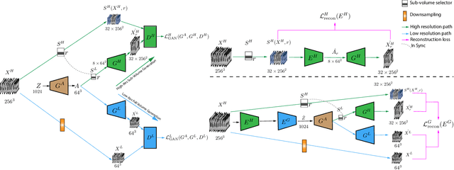 Figure 1 for Hierarchical Amortized Training for Memory-efficient High Resolution 3D GAN