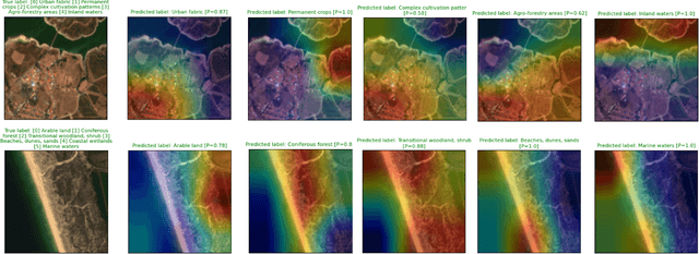 Figure 4 for Efficient deep learning models for land cover image classification