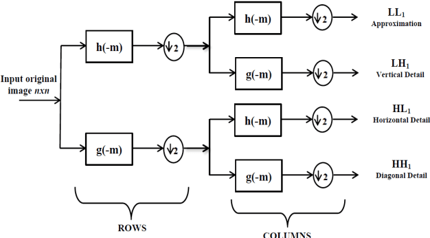 Figure 4 for Enhanced EZW Technique for Compression of Image by Setting Detail Retaining Pass Number