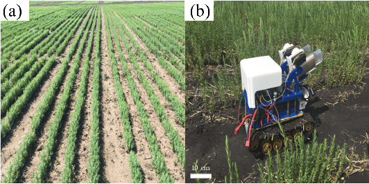 Figure 1 for A Low-cost Robot with Autonomous Recharge and Navigation for Weed Control in Fields with Narrow Row Spacing