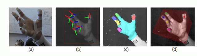 Figure 2 for Rule Of Thumb: Deep derotation for improved fingertip detection