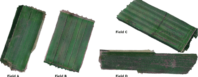 Figure 1 for Generative models-based data labeling for deep networks regression: application to seed maturity estimation from UAV multispectral images