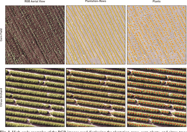 Figure 1 for A CNN Approach to Simultaneously Count Plants and Detect Plantation-Rows from UAV Imagery