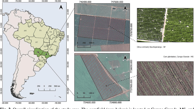 Figure 3 for A CNN Approach to Simultaneously Count Plants and Detect Plantation-Rows from UAV Imagery