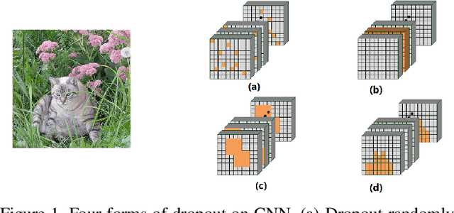 Figure 1 for FocusedDropout for Convolutional Neural Network