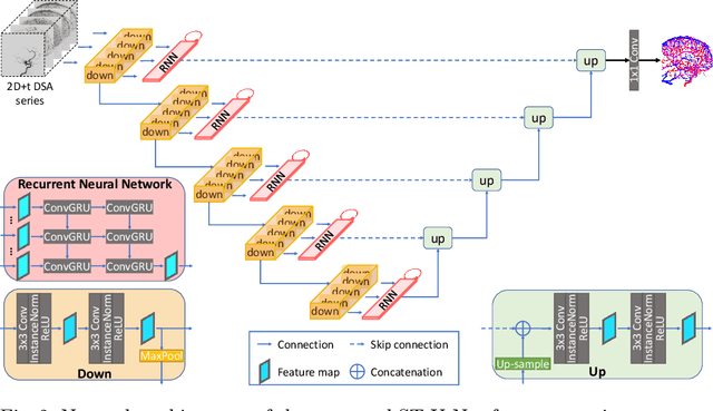 Figure 3 for Spatio-Temporal U-Net for Cerebral Artery and Vein Segmentation in Digital Subtraction Angiography