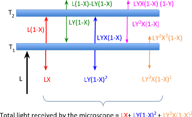 Figure 1 for Separating Overlapping Tissue Layers from Microscopy Images