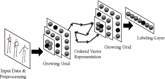 Figure 1 for Hierarchical growing grid networks for skeleton based action recognition
