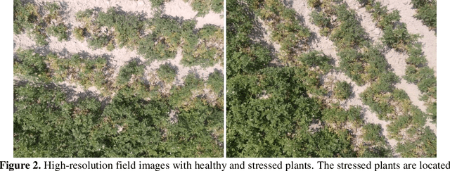 Figure 3 for Potato Crop Stress Identification in Aerial Images using Deep Learning-based Object Detection