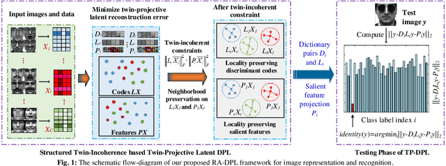 Figure 1 for Learning Structured Twin-Incoherent Twin-Projective Latent Dictionary Pairs for Classification