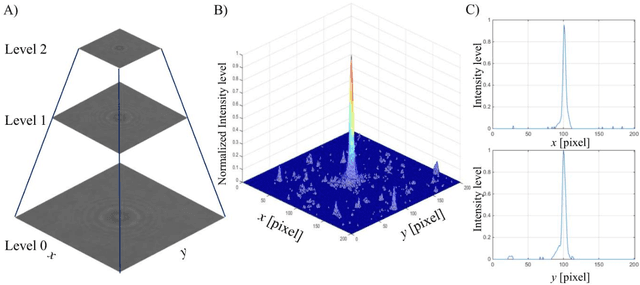 Figure 2 for UmUTracker: A versatile MATLAB program for automated particle tracking of 2D light microscopy or 3D digital holography data