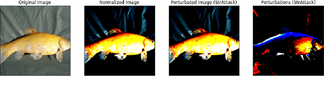 Figure 2 for Optimizing One-pixel Black-box Adversarial Attacks