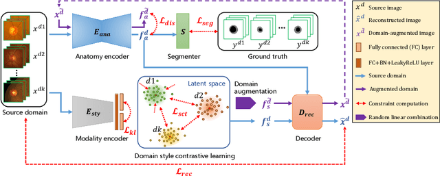 Figure 1 for Contrastive Domain Disentanglement for Generalizable Medical Image Segmentation