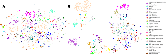 Figure 1 for Learning Hierarchical Visual Representations in Deep Neural Networks Using Hierarchical Linguistic Labels