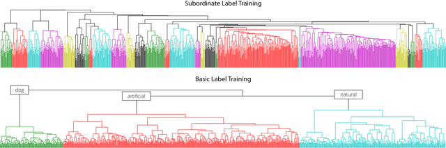 Figure 3 for Learning Hierarchical Visual Representations in Deep Neural Networks Using Hierarchical Linguistic Labels