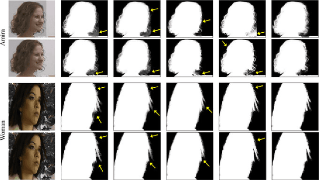 Figure 4 for L1-regularized Reconstruction Error as Alpha Matte