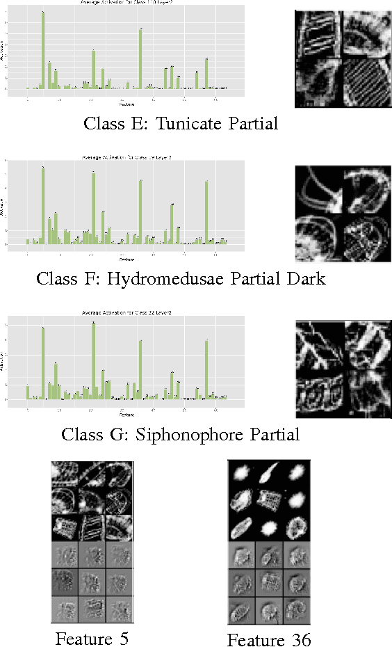 Figure 2 for Feature Representation in Convolutional Neural Networks