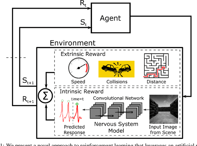 Figure 1 for Visceral Machines: Reinforcement Learning with Intrinsic Rewards that Mimic the Human Nervous System