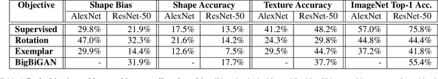 Figure 2 for Exploring the Origins and Prevalence of Texture Bias in Convolutional Neural Networks