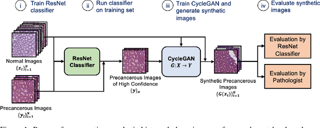 Figure 1 for Generative Image Translation for Data Augmentation in Colorectal Histopathology Images