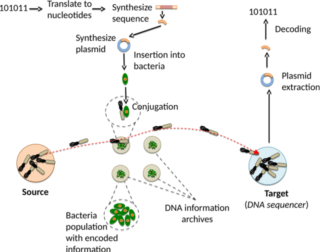 Figure 2 for A Machine Learning-based Approach to Detect Threats in Bio-Cyber DNA Storage Systems